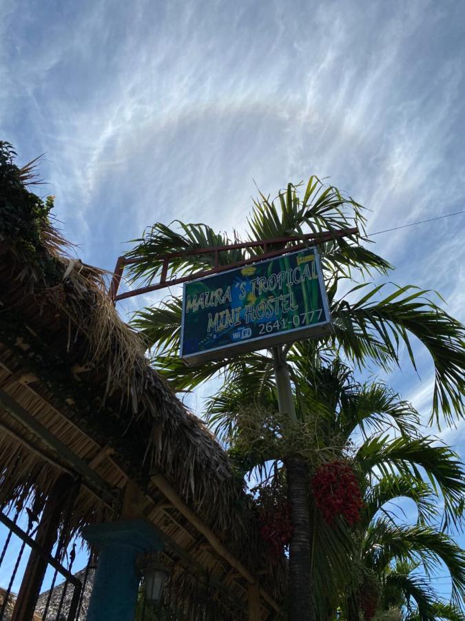 Mauras Tropical Mini Hostel & Tours 파케라 외부 사진