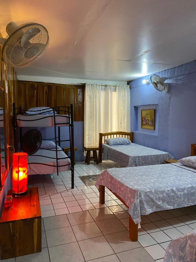 Mauras Tropical Mini Hostel & Tours 파케라 외부 사진