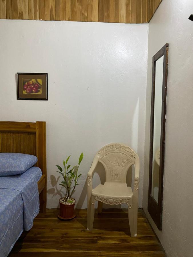 Mauras Tropical Mini Hostel & Tours 파케라 외부 사진