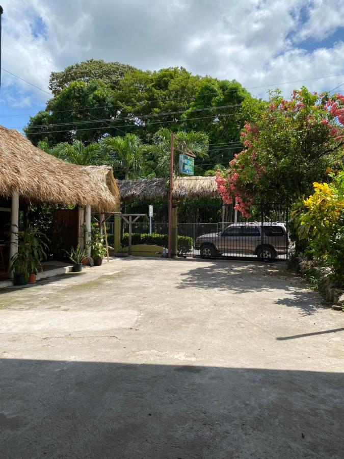 Mauras Tropical Mini Hostel & Tours 파케라 외부 사진