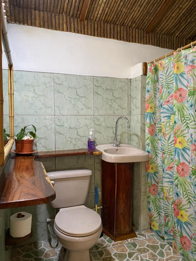 Mauras Tropical Mini Hostel & Tours 파케라 외부 사진