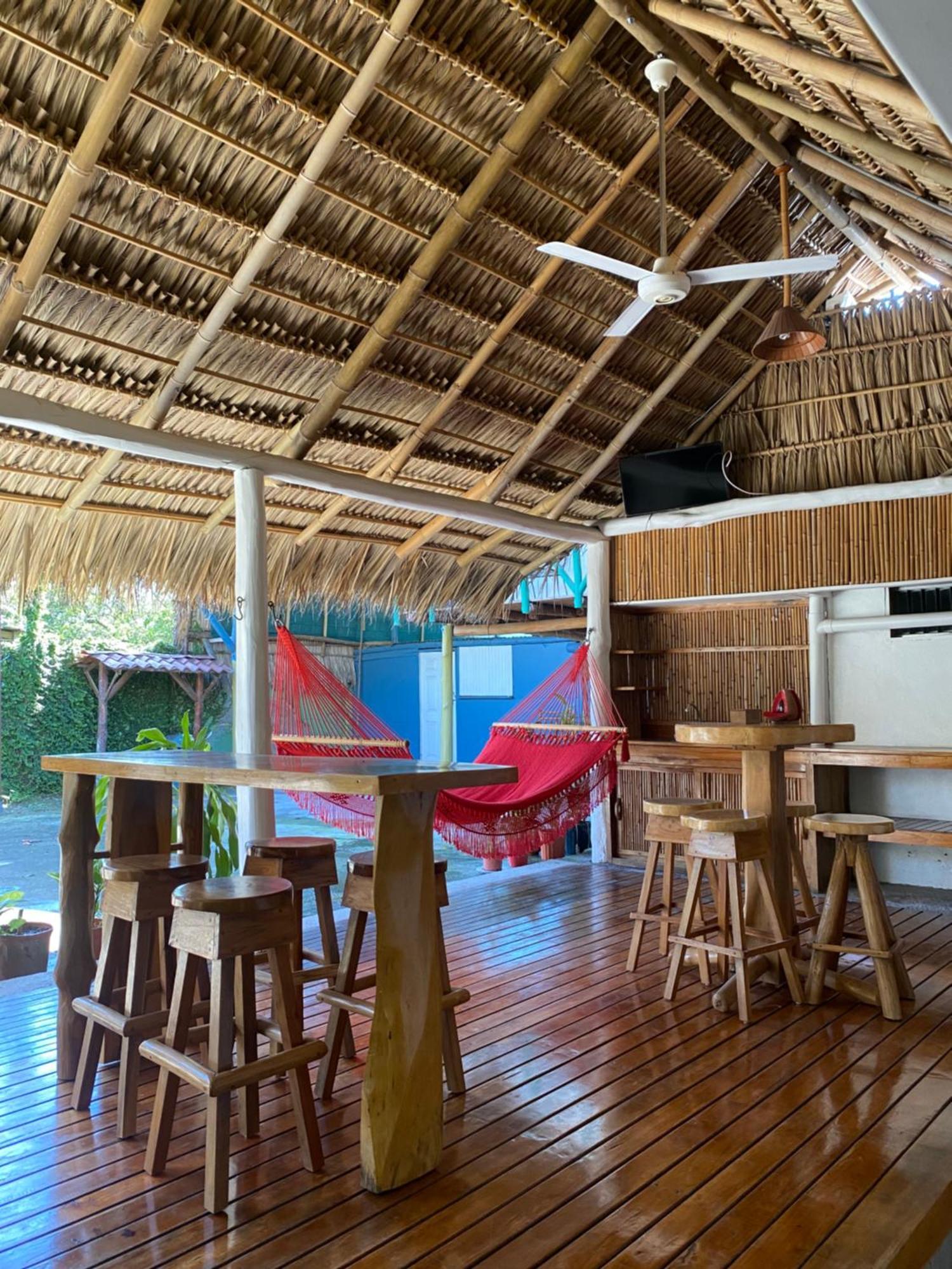 Mauras Tropical Mini Hostel & Tours 파케라 외부 사진