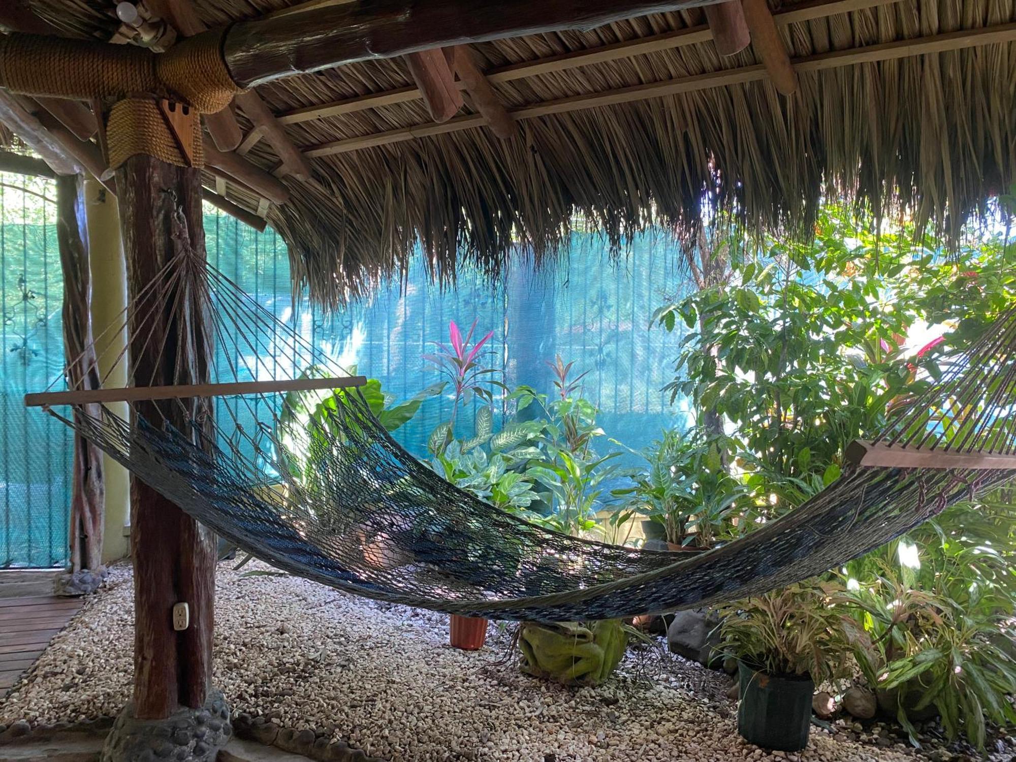 Mauras Tropical Mini Hostel & Tours 파케라 외부 사진